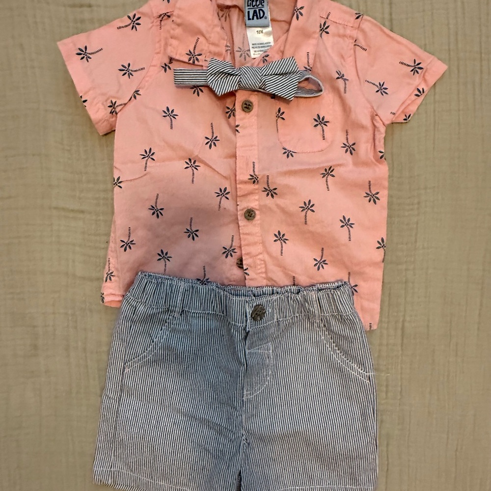 Pink Palm Tree Shirt and Striped Shorts Set